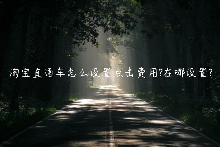 淘寶直通車怎么設(shè)置點(diǎn)擊費(fèi)用?在哪設(shè)置?